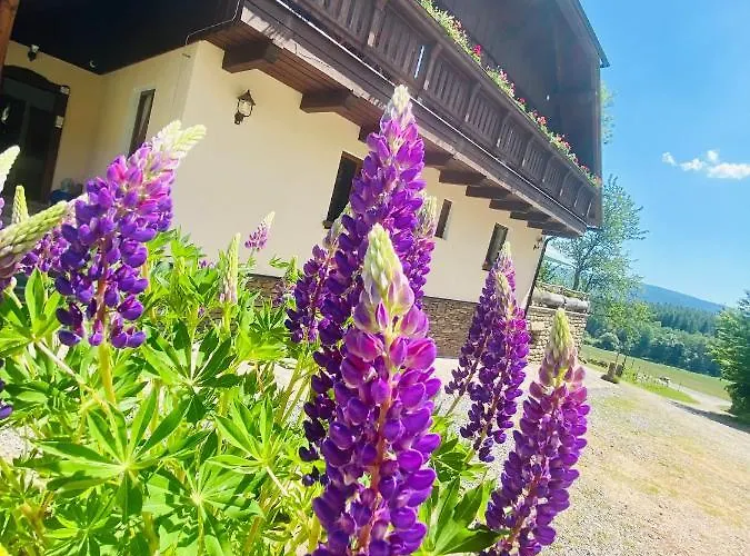 Penzion U Vlčí Stezky